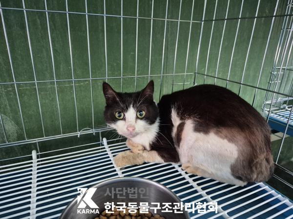 종료(자연사) 한국…